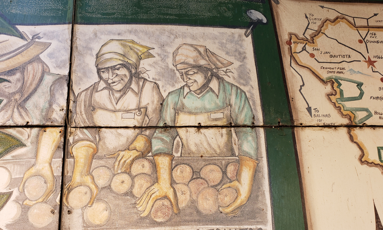 Old Tomatoes