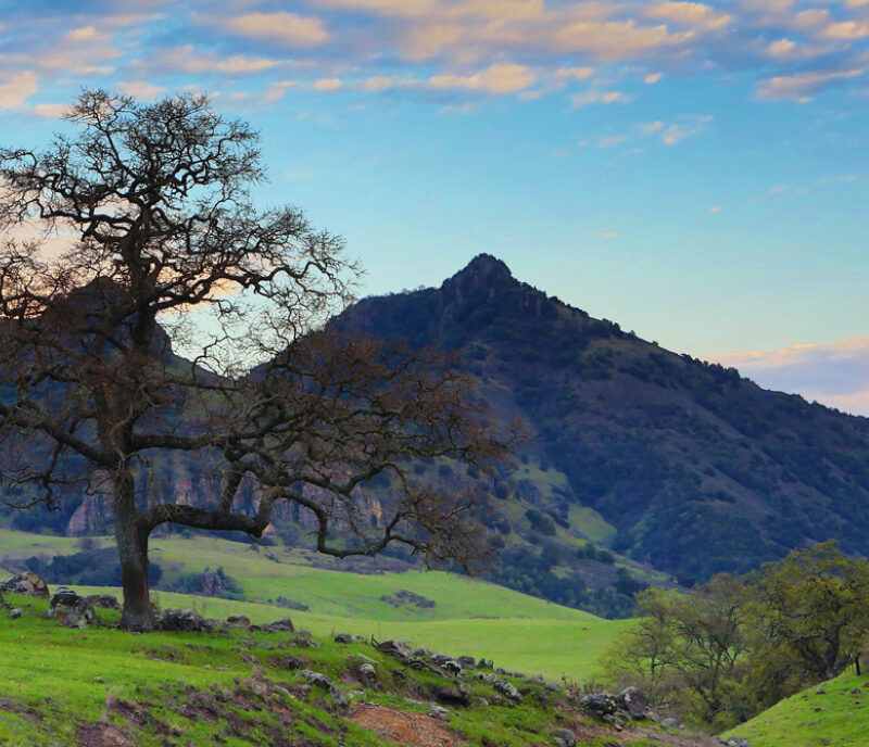 Sonny Paullus Grants Fund