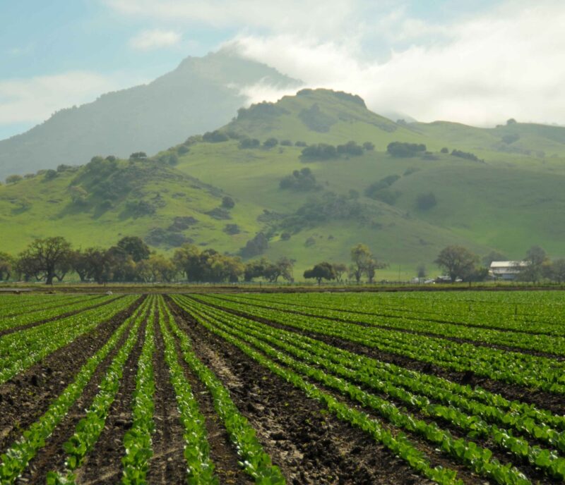 Community Foundation Operating Fund