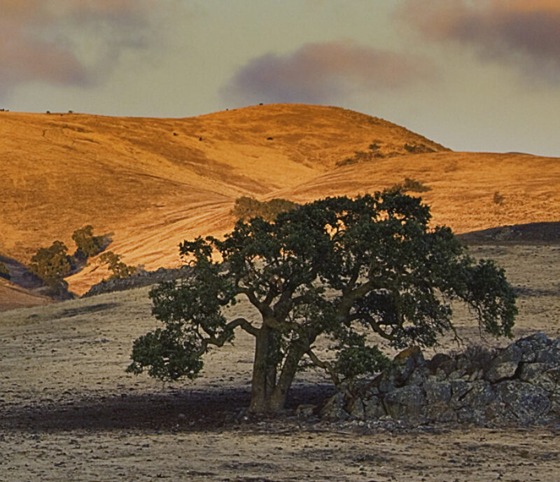 Latino Generations Endowment Fund