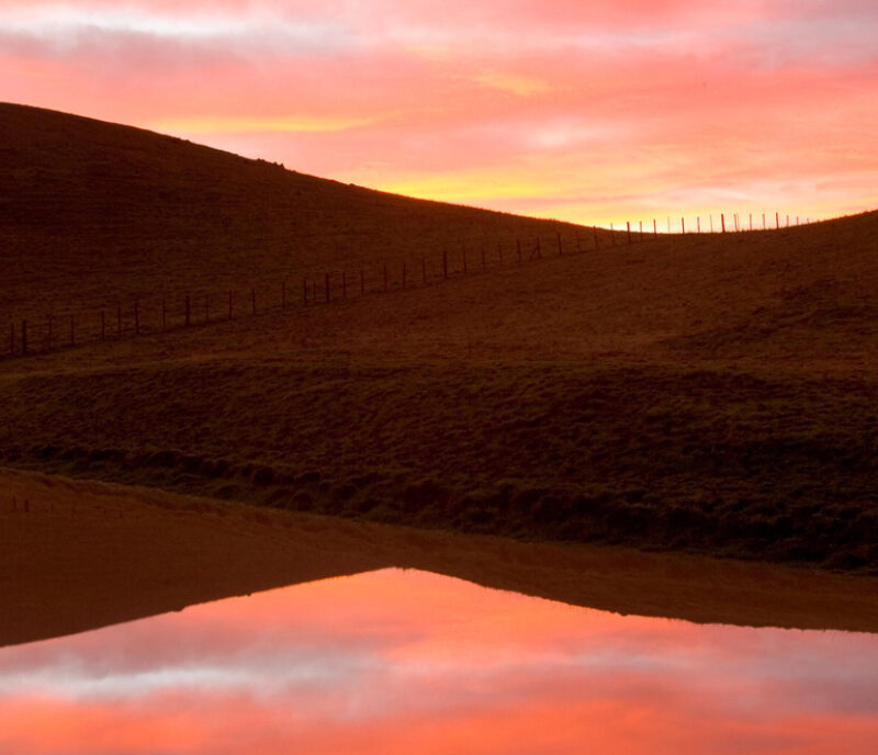 Emergency Preparedness