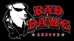 Bad Dawg Rescue