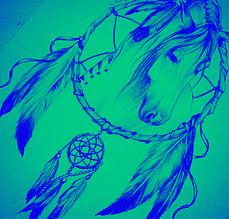 Dream Catcher Equine Services