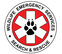 Wildlife Emergency Services
