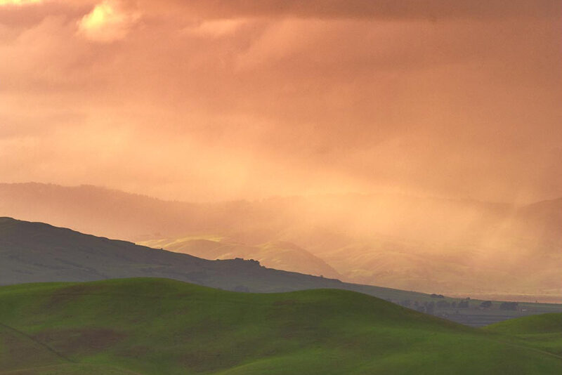 Directory of Nonprofit & Service Organizations