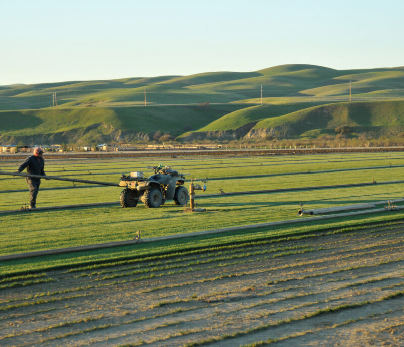 Staff + Board of Directors